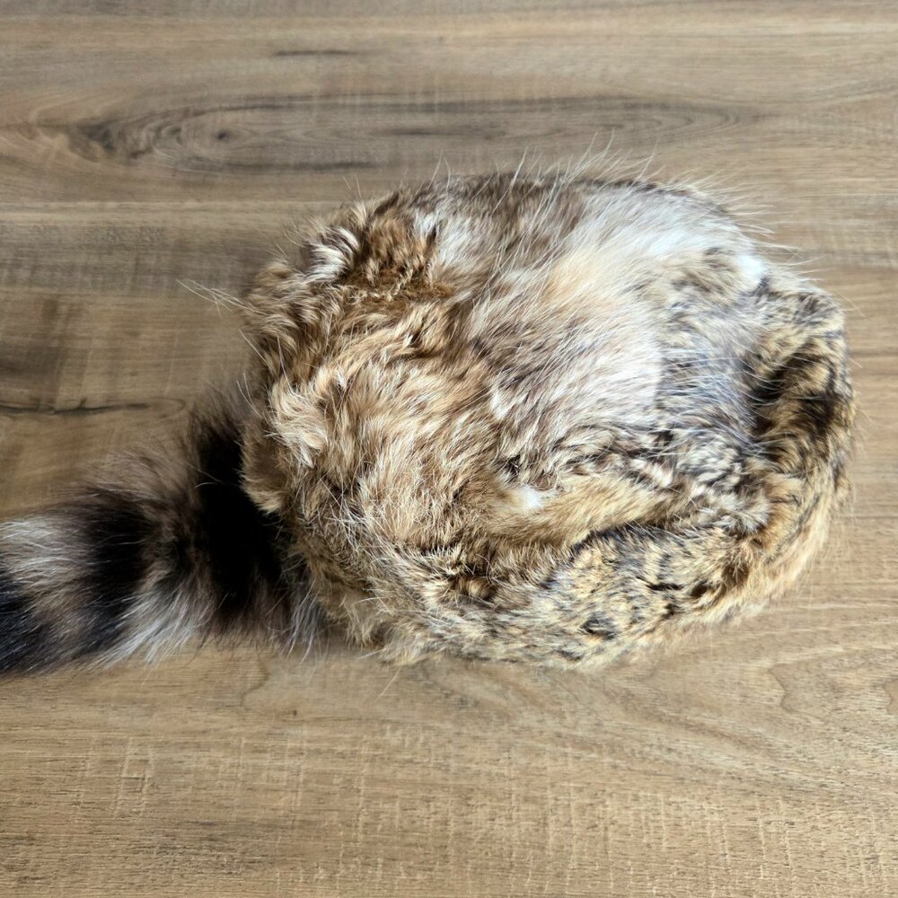 Vintage Davy Crockett Style Fur Hat Rabbitskin Racoon Tail - Picture 5 of 8